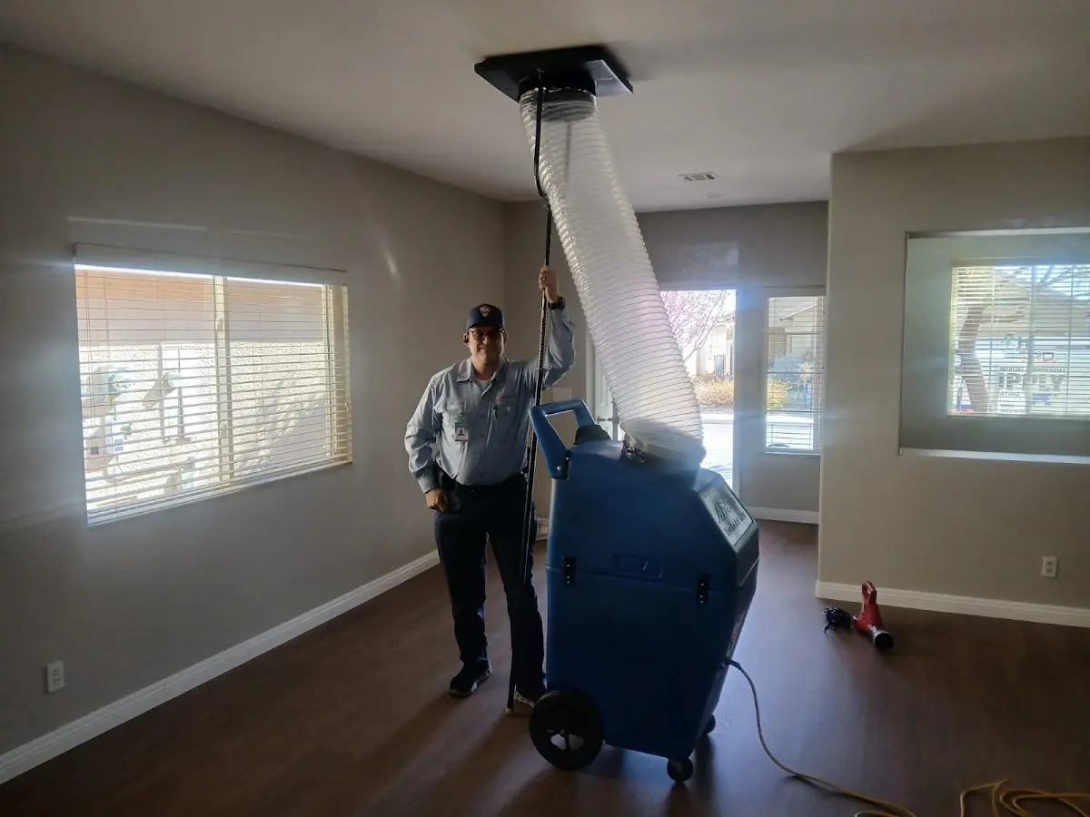 Professional Dryer Vent Cleaning work inside a Berryville home